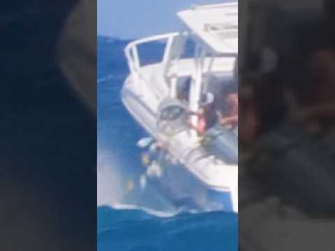 Boaters caught on camera dumping trash overboard in Florida