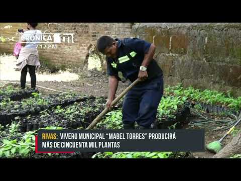 Inauguran vivero municipal «Mabel Torres» en la departamento Rivas - Nicaragua