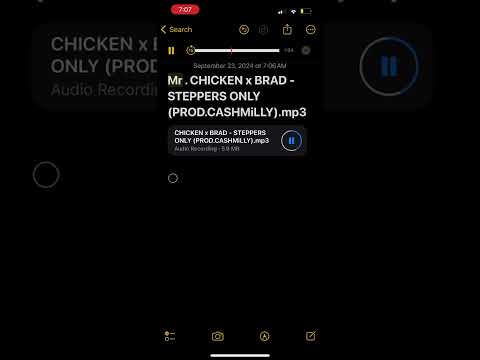 Mr Chicken x Braddytonia - Steppers “ UNRELEASED LEAK “