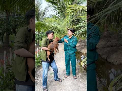 Mày Bắt Chóa Nhà Ngươi Ta #shorts #trending #haihuoc