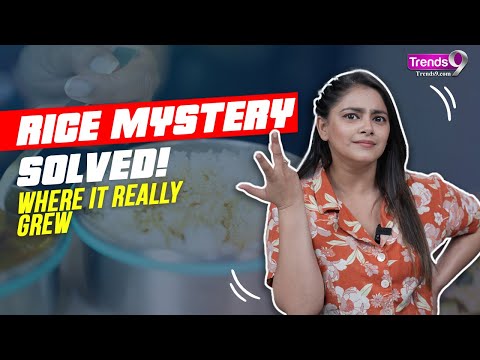 Did You Know Rice is not Indian: The Shocking Origins of Rice 😲🌾🍚