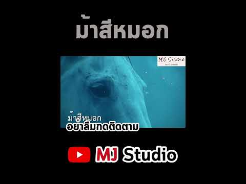 ขุนแผนม้าสีหมอกหนังไทยfory