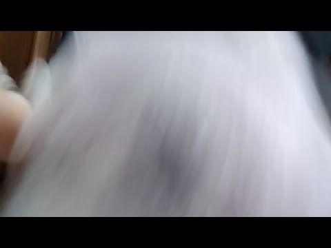 気圧で頭が痛てぇ! 1話 #1