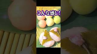 失敗も何とかなるのさww【カメラ / 実写】【夜絆ニウ / NeoPorte (ネオポルテ) 】#shorts #vtuber #実写 #切