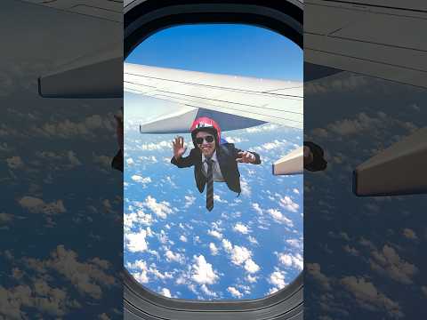 スカイダイバー
