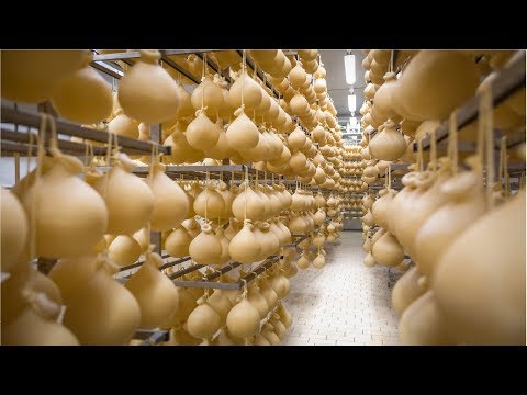 Cheese Making Process inside Factory - Amazing Food Processing #45