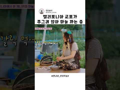 교포가 <strong>마늘</strong> 까는 방송 ㅋㅋ #언니네산지직송3