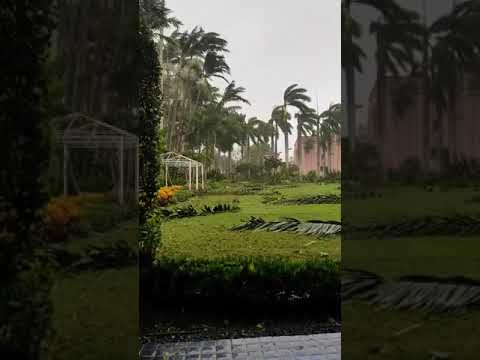 Hurrikan Live Bilder von meinem Bruder USA Boca Raton, Florida Sturm Tornado Wirbelsturm Tropensturm