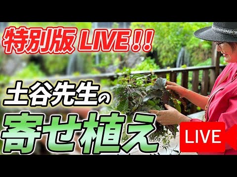 12月27日 2024年今年最後の寄せ植えLIVE!!