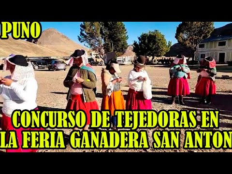 PUNO CONCURSO DE TEJEDORAS EN LA FERIA GANADERA COMUNIDAD RECREO DE SAN ANTON...