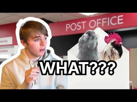 YouTube video thumbnail