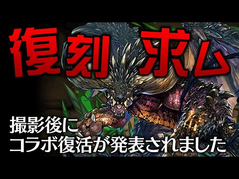 ネルギガンテを救いたい(週末に救われそう)【パズドラ】