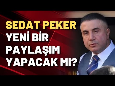 Ersan Barkın: Sedat Peker bana sorsa 