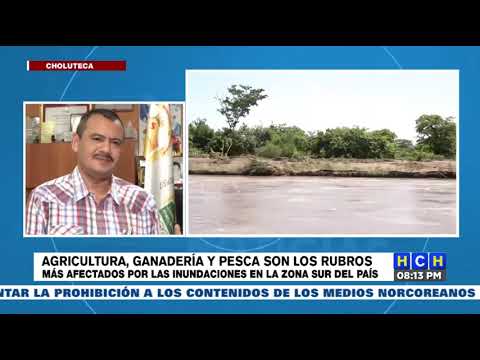 Agricultura , Ganaderìa y Pesca son los rubros más afectados por las lluvias en el sur del país