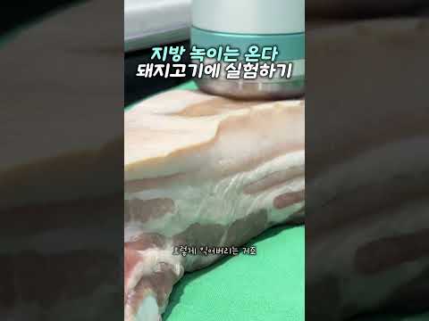 지방 녹이는 온다 돼지고기로 실험하기 — 리연케이의원 원장 영상