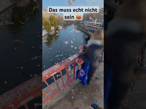 Möwen füttern verboten! 🚫 #gebrüderlange #magnetfischen #verboten