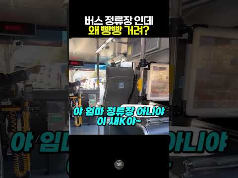 버스정류장에서 빵빵거리던 차에게 한마디 #빌런 #참교육 #<strong>사건사고</strong> #레전드