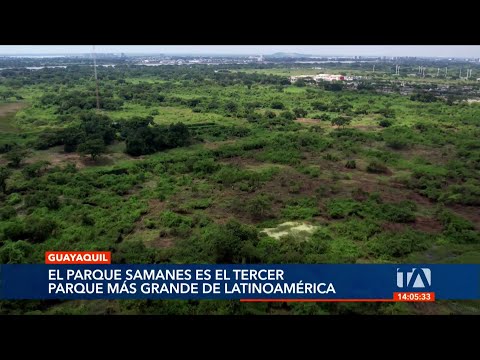 Se plantea un cambio de administración en el parque Samanes, de Guayaquil