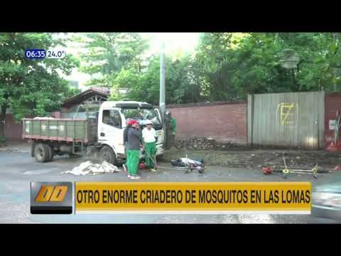 Otro enorme criadero de mosquitos en barrio de Asunción
