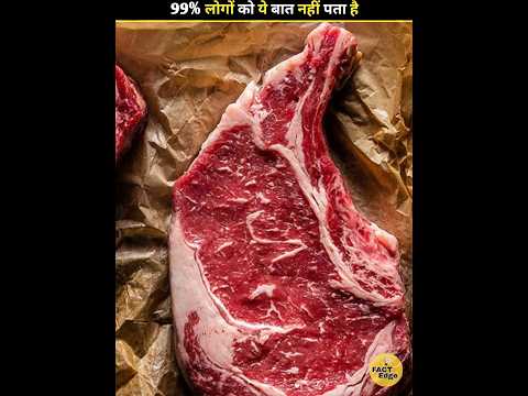 Food Digestion timing of human body 🤯 #shorts #facts