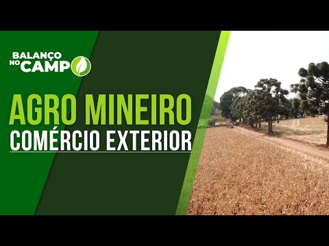 ANÁLISE DO COMÉRCIO EXTERIOR DO AGRONEGÓCIO MINEIRO