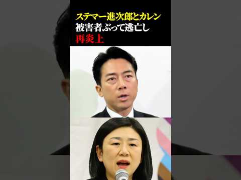 ステマー小泉進次郎と牧島かれんが被害者ぶって逃亡し再炎上🔥 #政治 #総裁選 #小泉進次郎 #ステマ #炎上