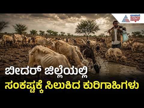 Karnataka Drought: ಬೀದರ್ ಜಿಲ್ಲೆಯಲ್ಲಿ ಹೊಲಸು ನೀರು ಕುಡಿದು ಸಾಯುತ್ತಿರುವ ಕುರಿಗಳು | Suvarna News