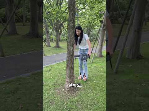 나무에 두르는 둘레등