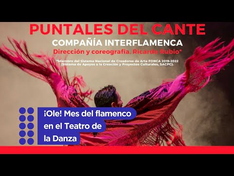 ¡Ole! Mes del flamenco en el Teatro de la Danza