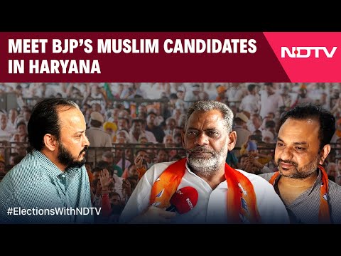 Haryana News Live | BJP's Strategic Move: Fields Muslim Candidates In Nuh's Key Constituencies