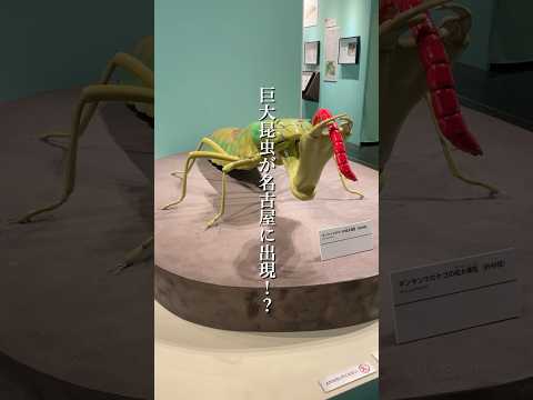 名古屋の昆虫がデカすぎる 特別展「昆虫MANIAC」が名古屋市科学館で開催中 #名古屋 #vlog #shorts