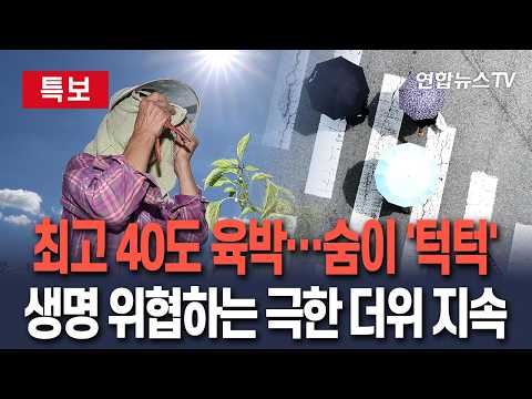 [🔴특보] 낮 최고 40도 육박…'폭염중대경보' 확대, 생명 위협하는 극한 더위  / 연합뉴스TV(YonhapnewsTV)
