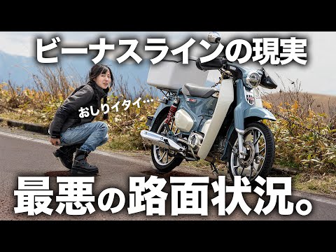 ビーナスラインって、こんな路面だっけ?カブで挑戦したらお尻が死にました。