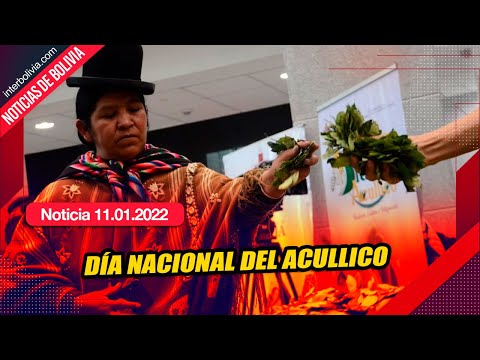 ? Bolivia reivindica los benéficos de la hoja de coca y proyecta su industrialización ?