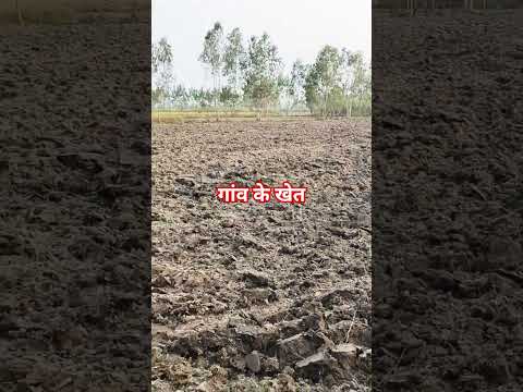 गांव के खेत है यह 🙏❤️#gaonkizindagi