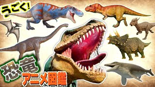 動画サムネイル