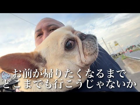 愛犬が病気で歩けなくなったので抱っこで散歩にゆく
