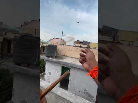 Patang wala raper #viralvideo #dillikiteclub #kiteflying #subscribe #kiteground #raper #kite