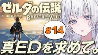 【ゼルダの伝説】真のエンドを求め、ガノン再討伐！DLCに突入します。ゼルダの伝説ブレス オブ ザ ワイルド【 #UNIT_B / #清澄ライ