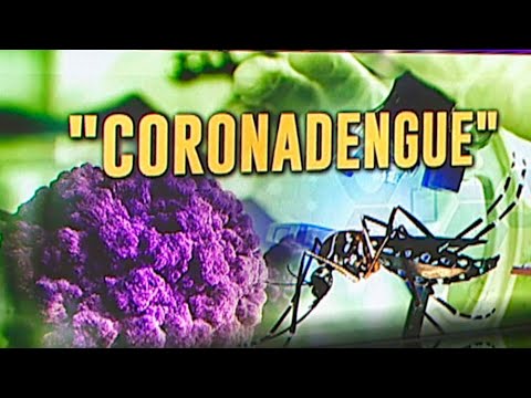 #Coronadenge: preocupación por casos simultáneos de Covid-19 y Dengue
