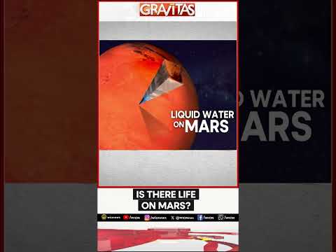 Is there life on mars? | Gravitas | WION Shorts