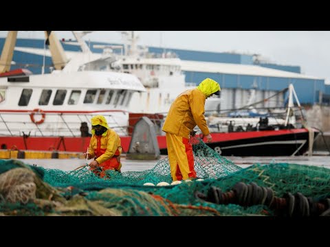 Pêche post-Brexit: Londres menace de renforcer les contrôles des bateaux européens • FRANCE 24