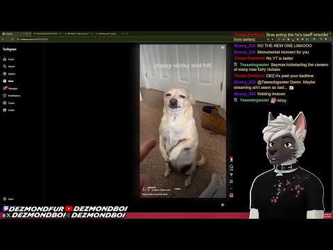 Sunday Night Vibin🔥WOOF 🔥FURRY VTUBER