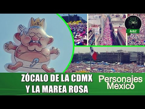 Discurso de Guadalupe Acosta Naranjo en la Marea Rosa del Zócalo CDMX