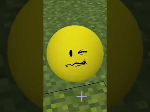 all verity #minecraft