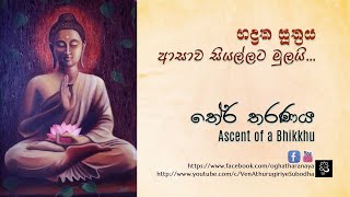 භද්‍රක සූත්‍රය - ආසාව සියල්ලට මුලයි...