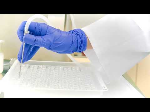 Nanosuspensions in vials | R&D Losan Pharma