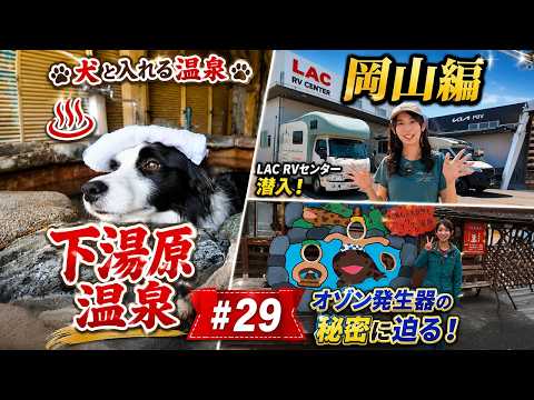 【わんこと全国旅#29】愛犬と極上おねだりイチゴ狩り&犬用温泉を満喫!目的地が臨時休業でもキャンピングカーなら旅は終わらない!