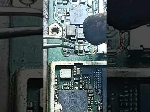 ยกตัวcลองฝึกกันดูหมีทำได้