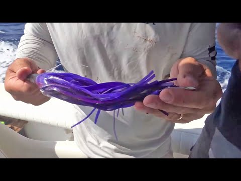 Qui come si fa - Traina d'Altura in Cilento (Italcanna)